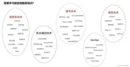微服务全景图及其学习内容 聚焦互联网接入相关服务
